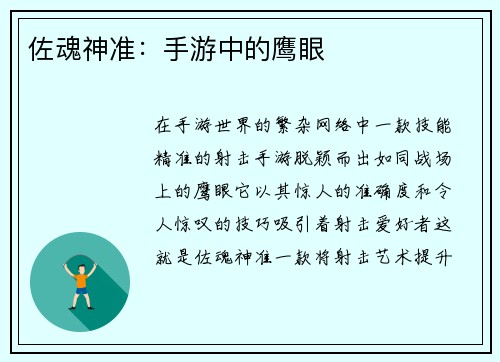 佐魂神准：手游中的鹰眼