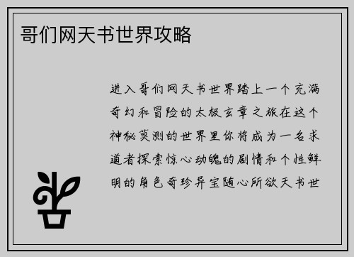 哥们网天书世界攻略