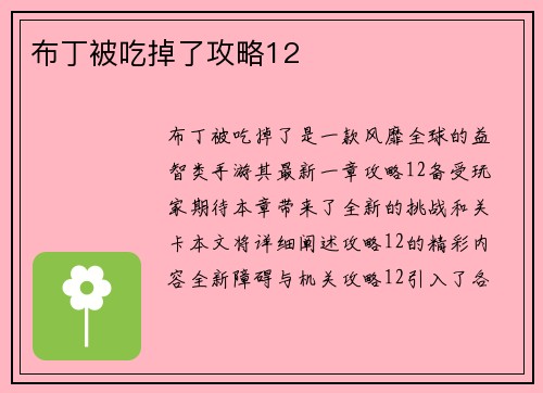 布丁被吃掉了攻略12